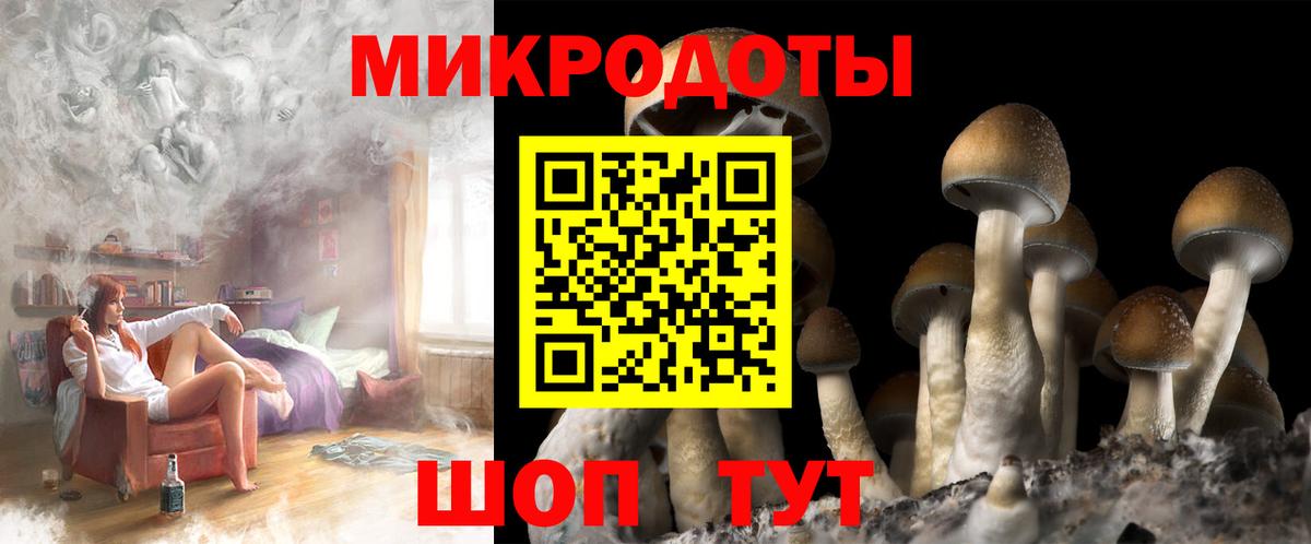 продажа наркотиков  Псилоцибиновые грибы ЛСД  Вход с VPN  Нижнеудинск 